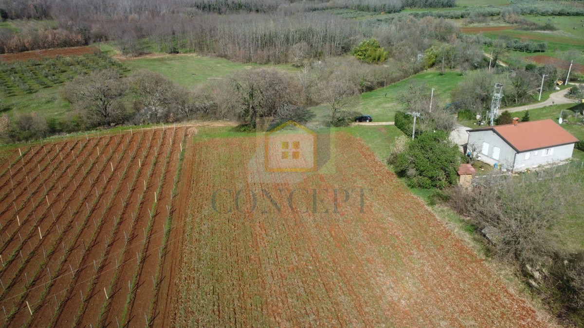 Poreč, okolica, Građevinsko zemljišče s kmetijskim zemljiščem na mirni lokaciji, 12 km od morja