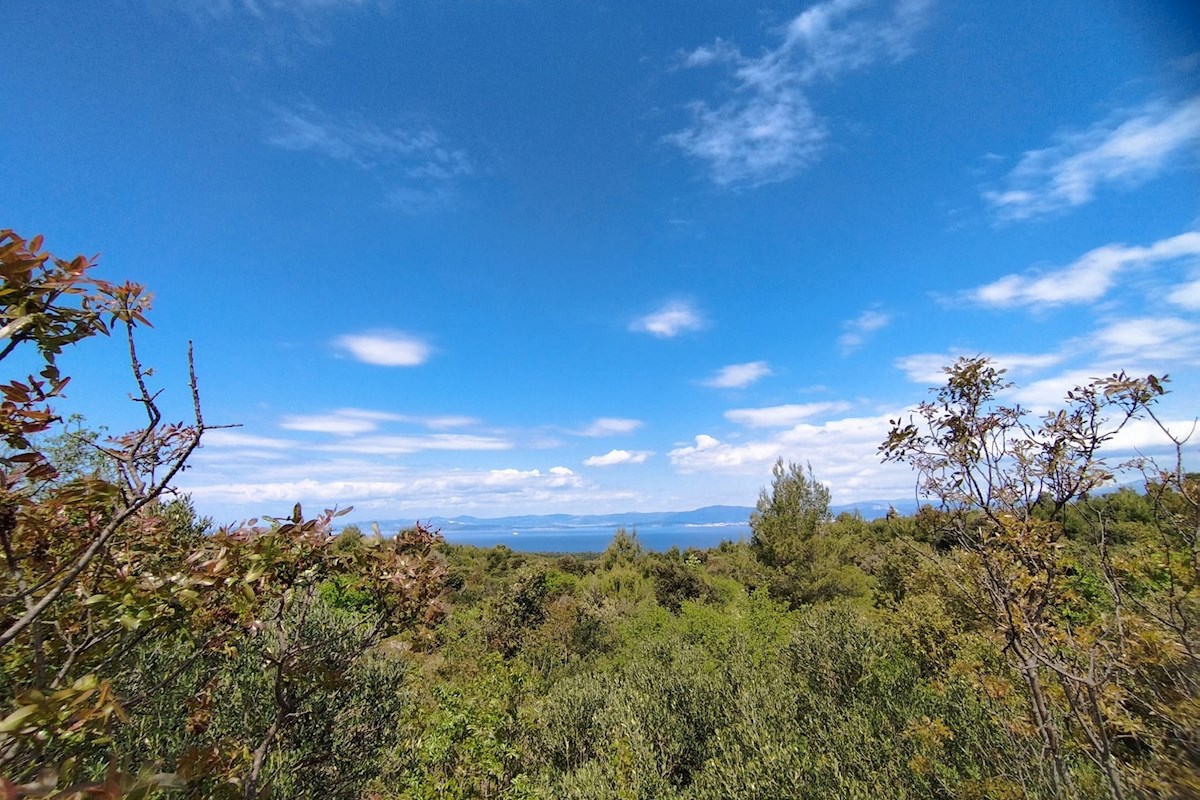 Brač, zemljišče 35.000 m2 s pogledom na morje