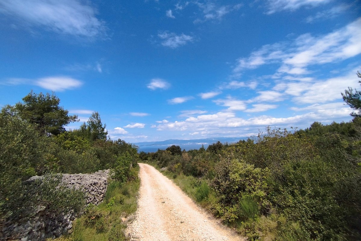 Brač, zemljišče 35.000 m2 s pogledom na morje
