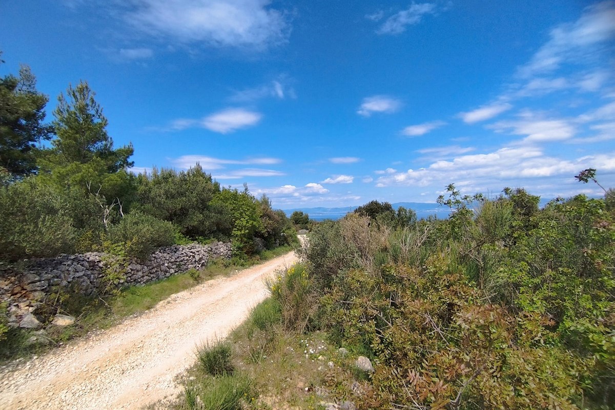Brač, zemljišče 35.000 m2 s pogledom na morje
