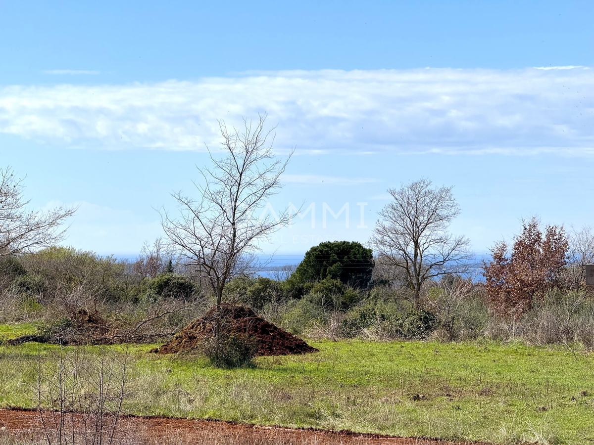 ISTRA, VODNJAN - Gradbeno zemljišče s pogledom na morje