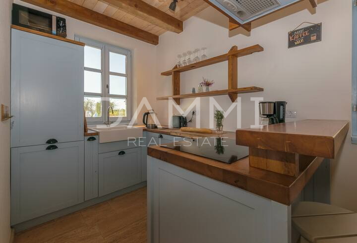 Istra, Svetvinčenat, čudovita rustikalna vila