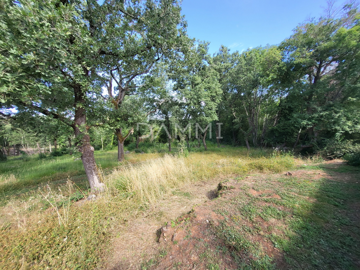 ISTRA, VRSAR - Samostojna kamnita hiša s bazenom