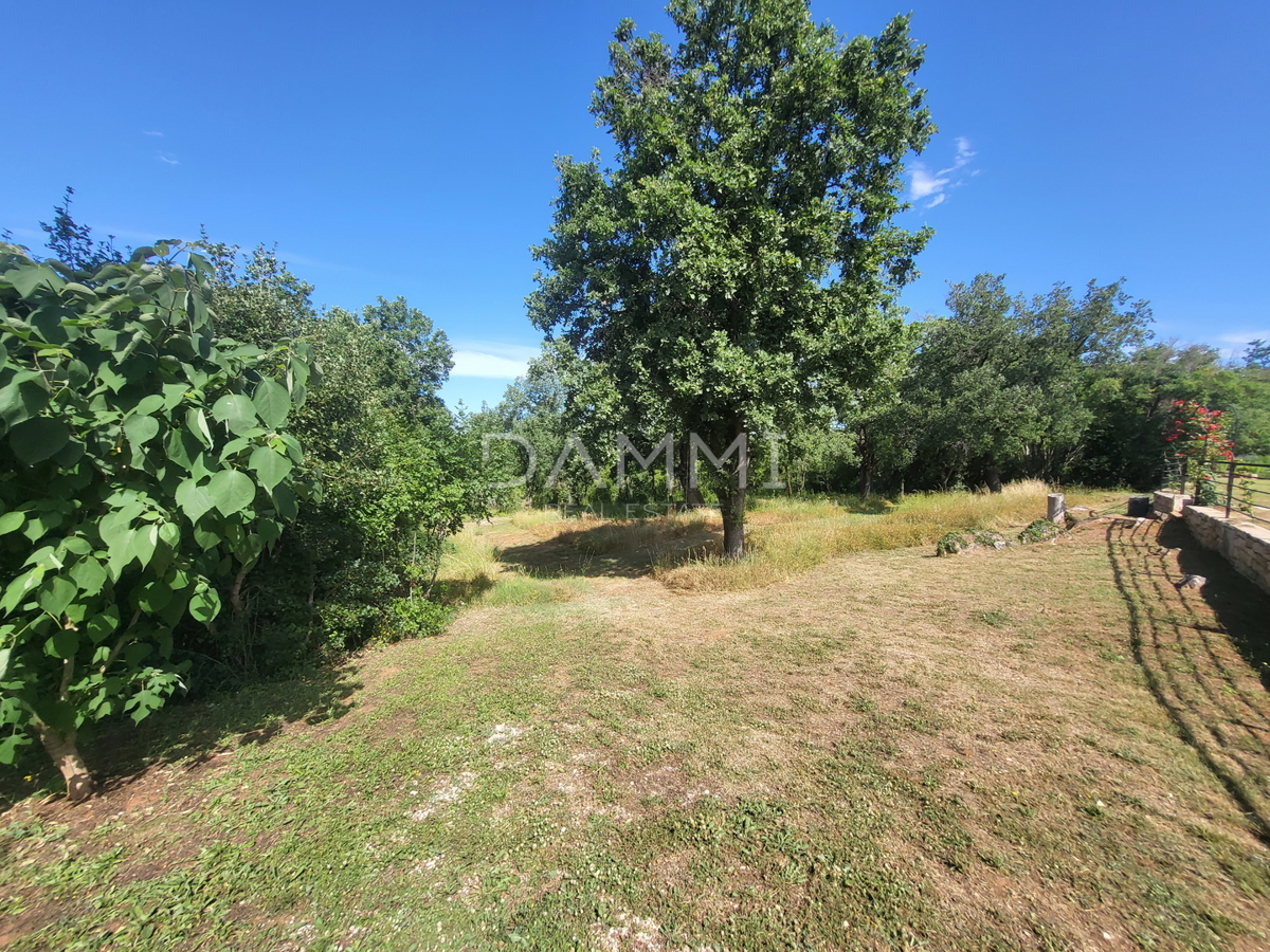 ISTRA, VRSAR - Samostojna kamnita hiša s bazenom