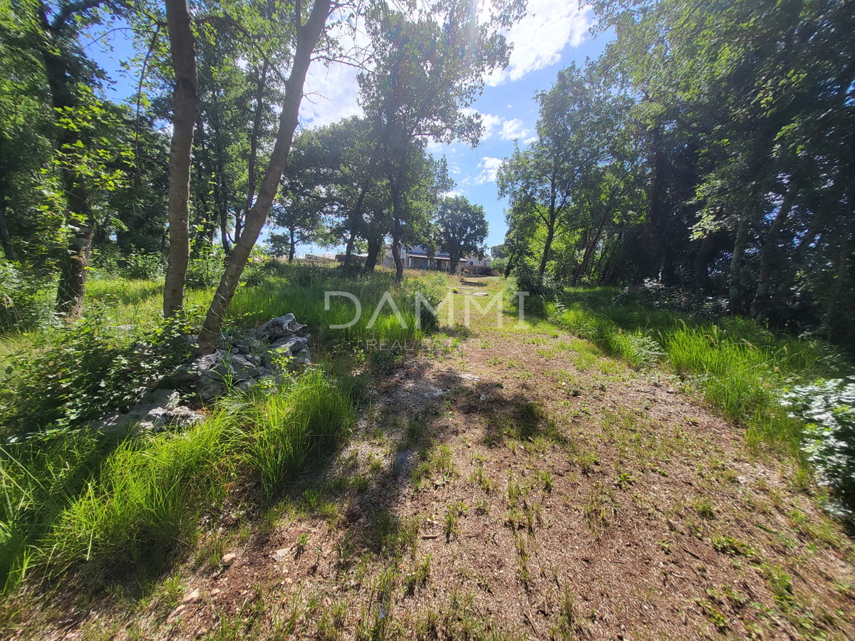 ISTRA, VRSAR - Samostojna kamnita hiša s bazenom