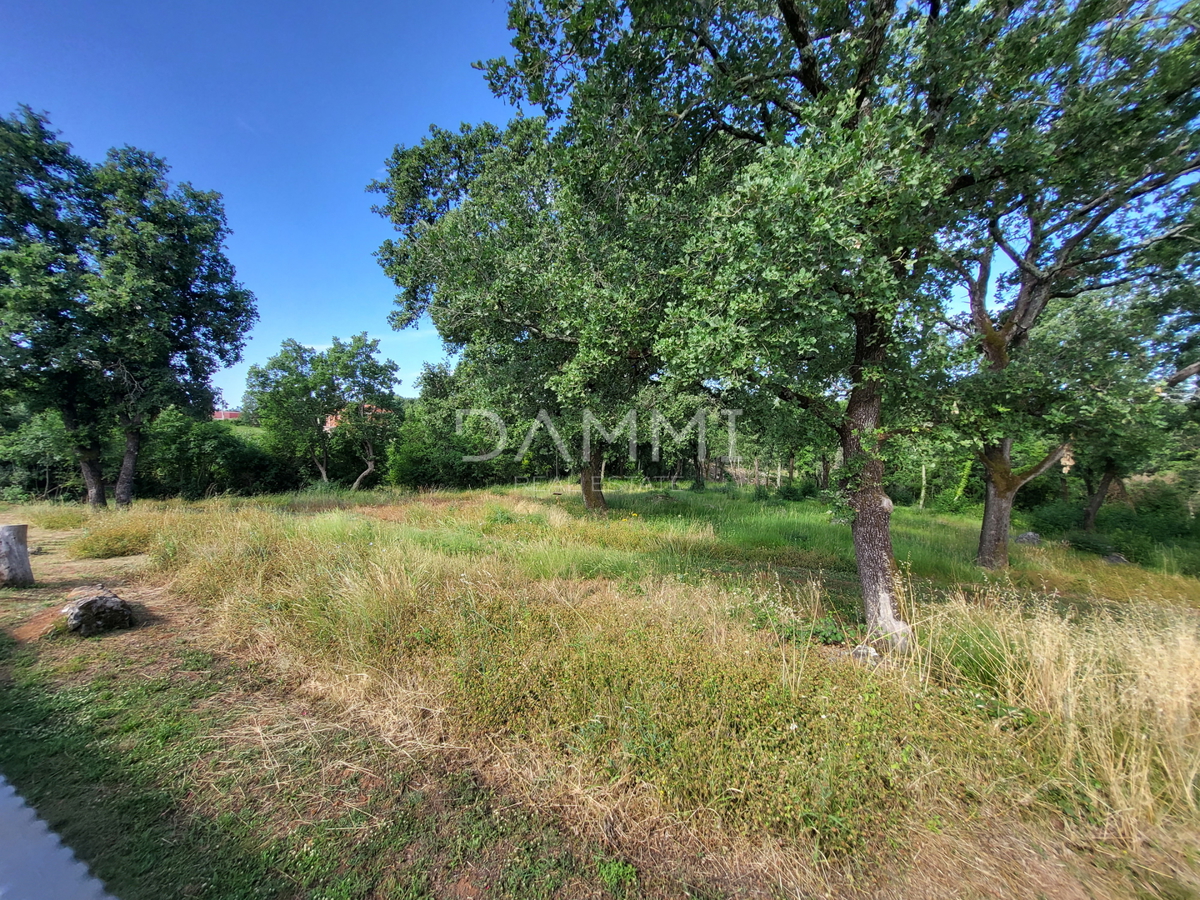 ISTRA, VRSAR - Samostojna kamnita hiša s bazenom