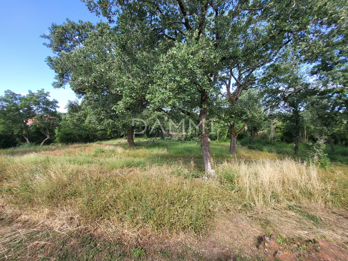 ISTRA, VRSAR - Samostojna kamnita hiša s bazenom