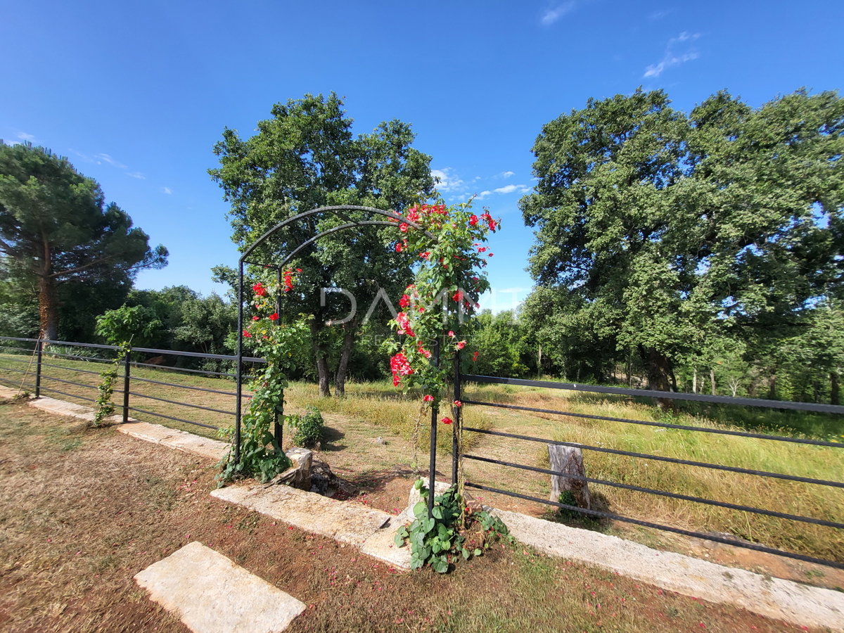 ISTRA, VRSAR - Samostojna kamnita hiša s bazenom