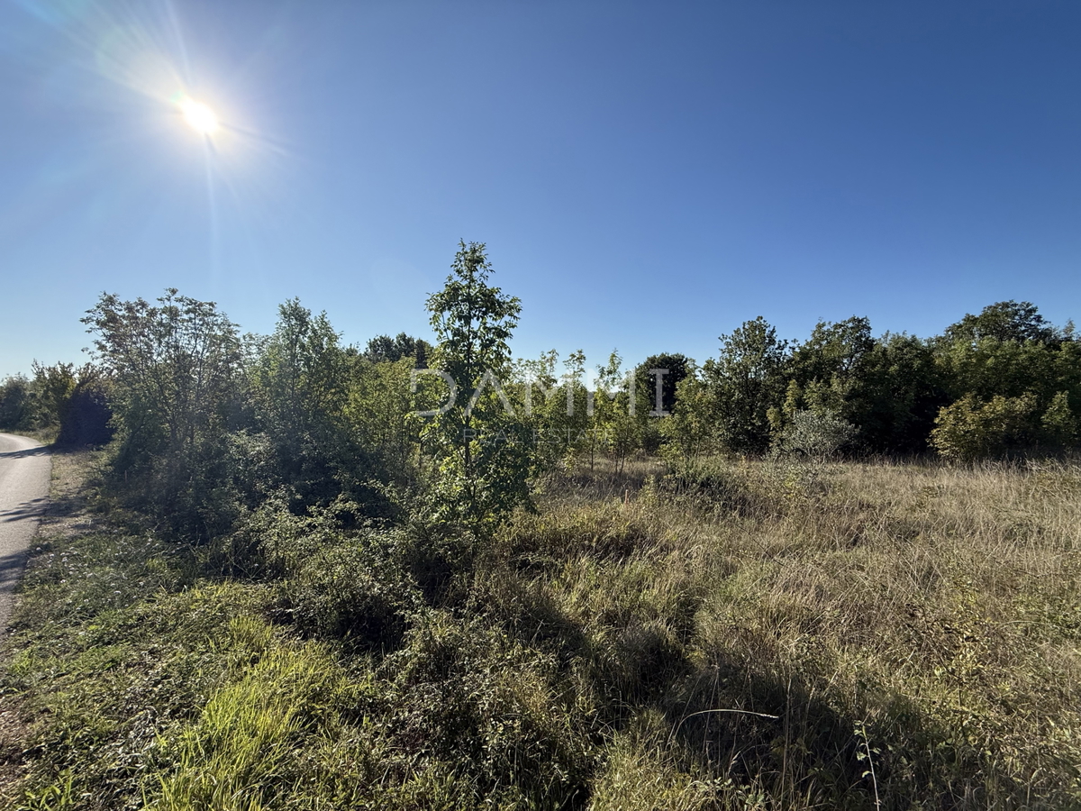 MARČANA, DIVŠIĆI - Gradbeno zemljišče z infrastrukturo 620 m2