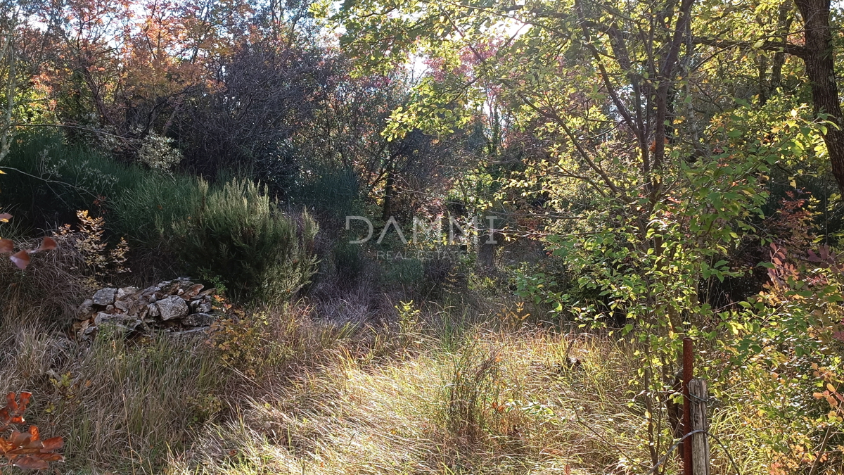 Istra, Peroj, atraktivno vikend zemljišče 300 m od morja