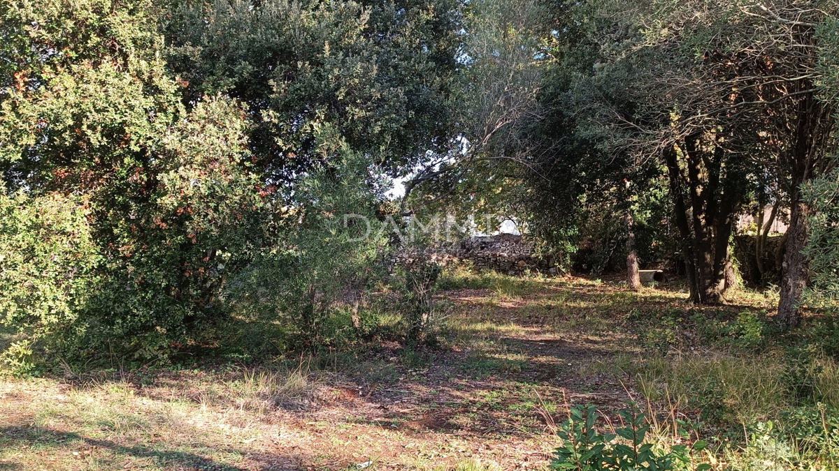 Istra, Peroj, atraktivno vikend zemljišče 300 m od morja