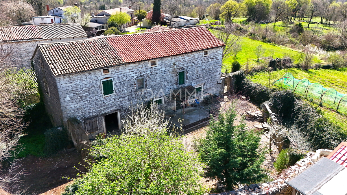ISTRA, ŽMINJ - Tradicionalna kamnita hiša s parcelo 700 m2