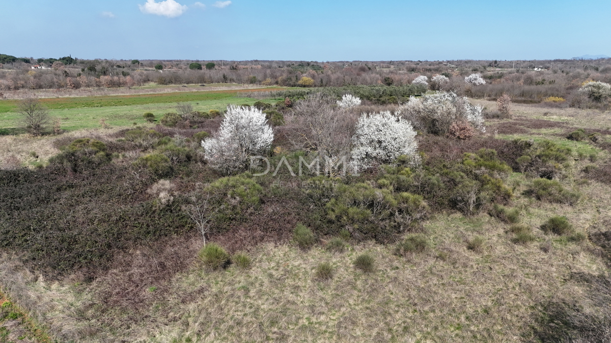 Istra, Marčana - gradbeno zemljišče v industrijski coni