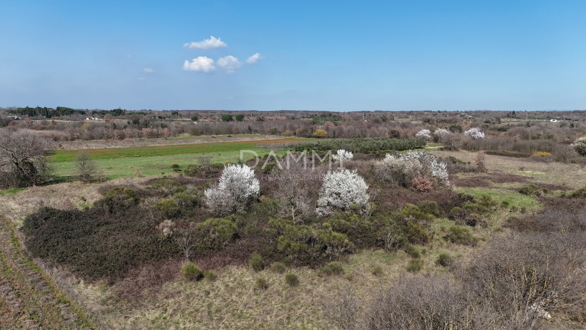 Istra, Marčana - gradbeno zemljišče v industrijski coni