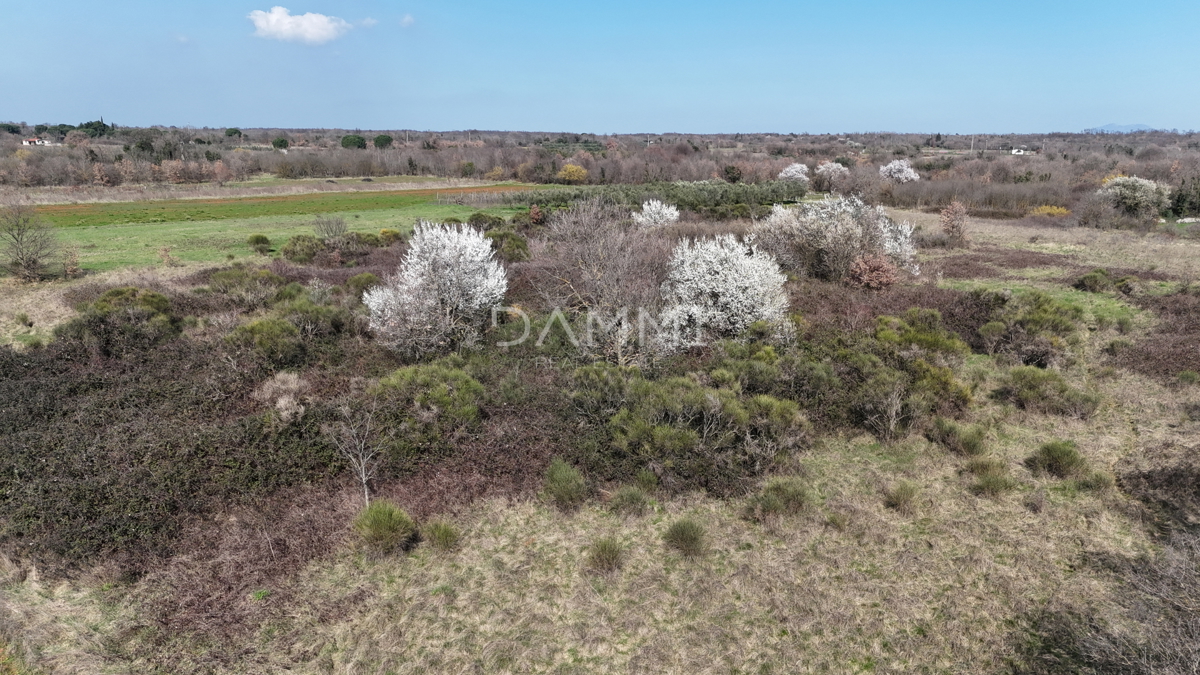 Istra, Marčana - gradbeno zemljišče v industrijski coni
