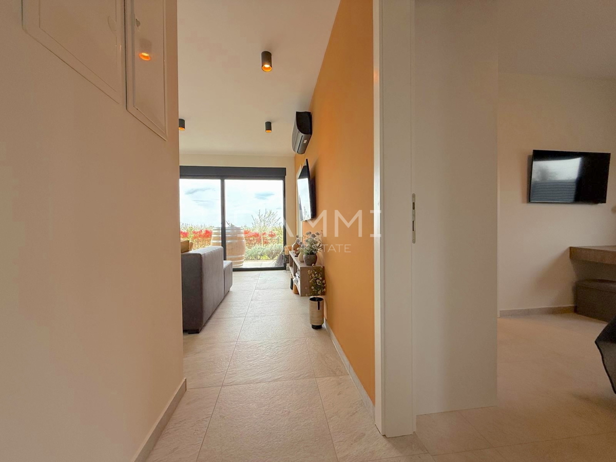 ISTRA, SVETI LOVREČ - MODERNA PRIZEMNICA Z BAZENOM V LEPEM OKOLJU