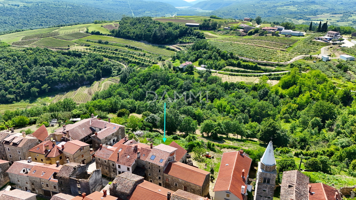 ISTRA, GROŽNJAN - Kamnita hiša s panoramskim razgledom EKSKLUZIVNO!