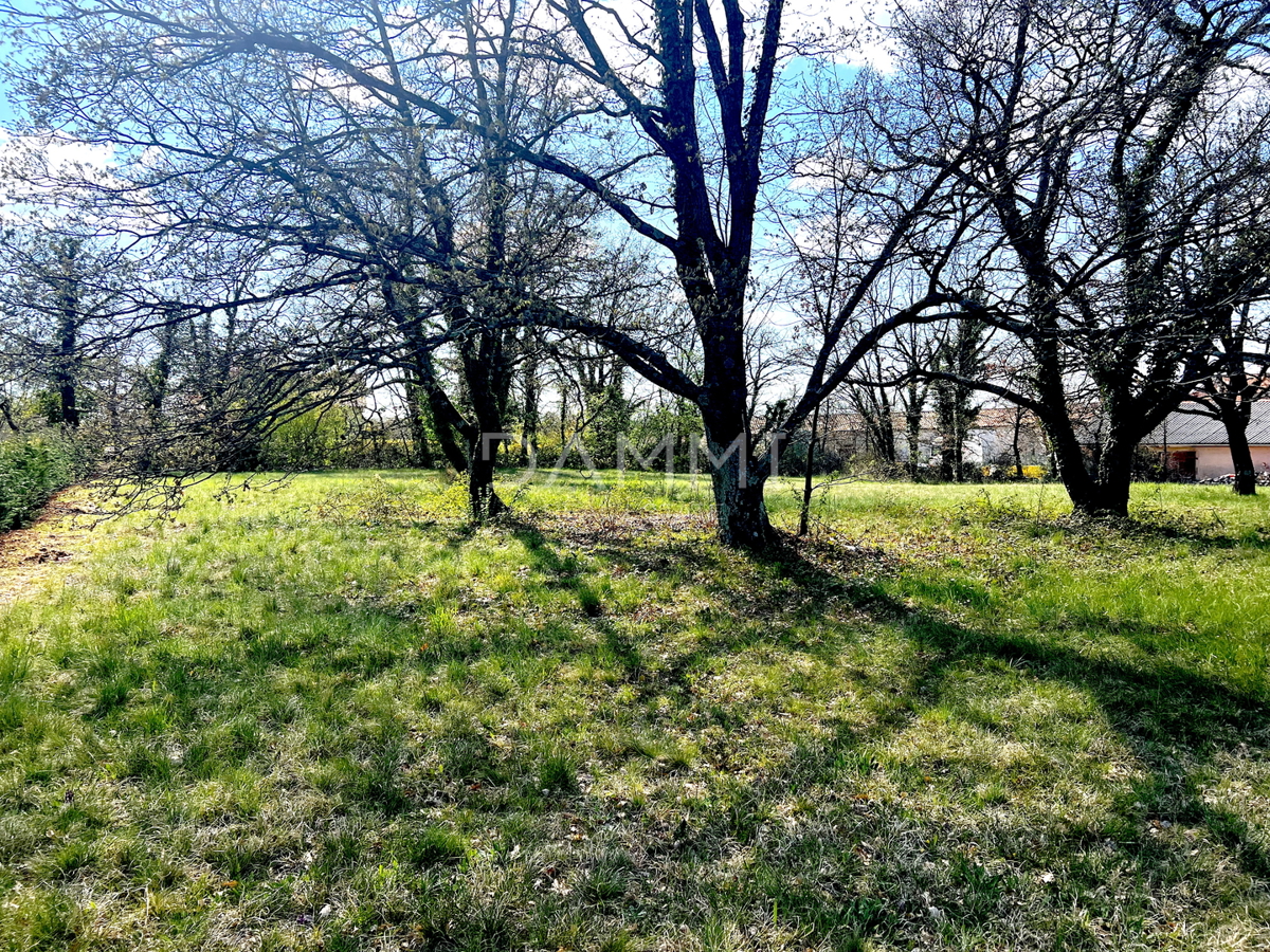 ISTRA, ŽMINJ - ZAZIDLJIVO ZEMLJIŠČE S POGLEDOM NA ŽMINJ