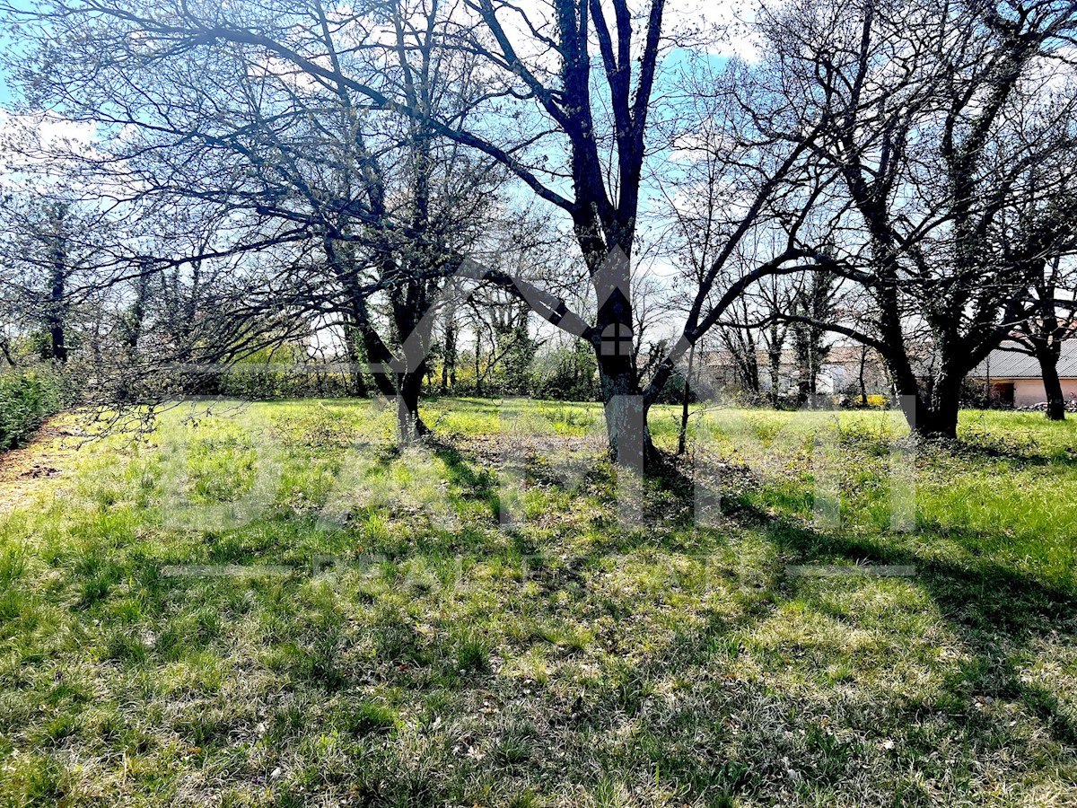 ISTRA, ŽMINJ - ZAZIDLJIVO ZEMLJIŠČE S POGLEDOM NA ŽMINJ