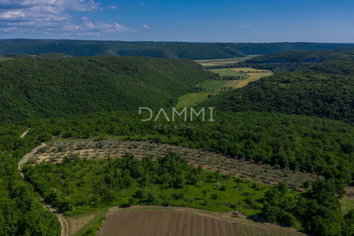 ISTRA, BUJE - Čudovita vila s pogledom na morje in naravo