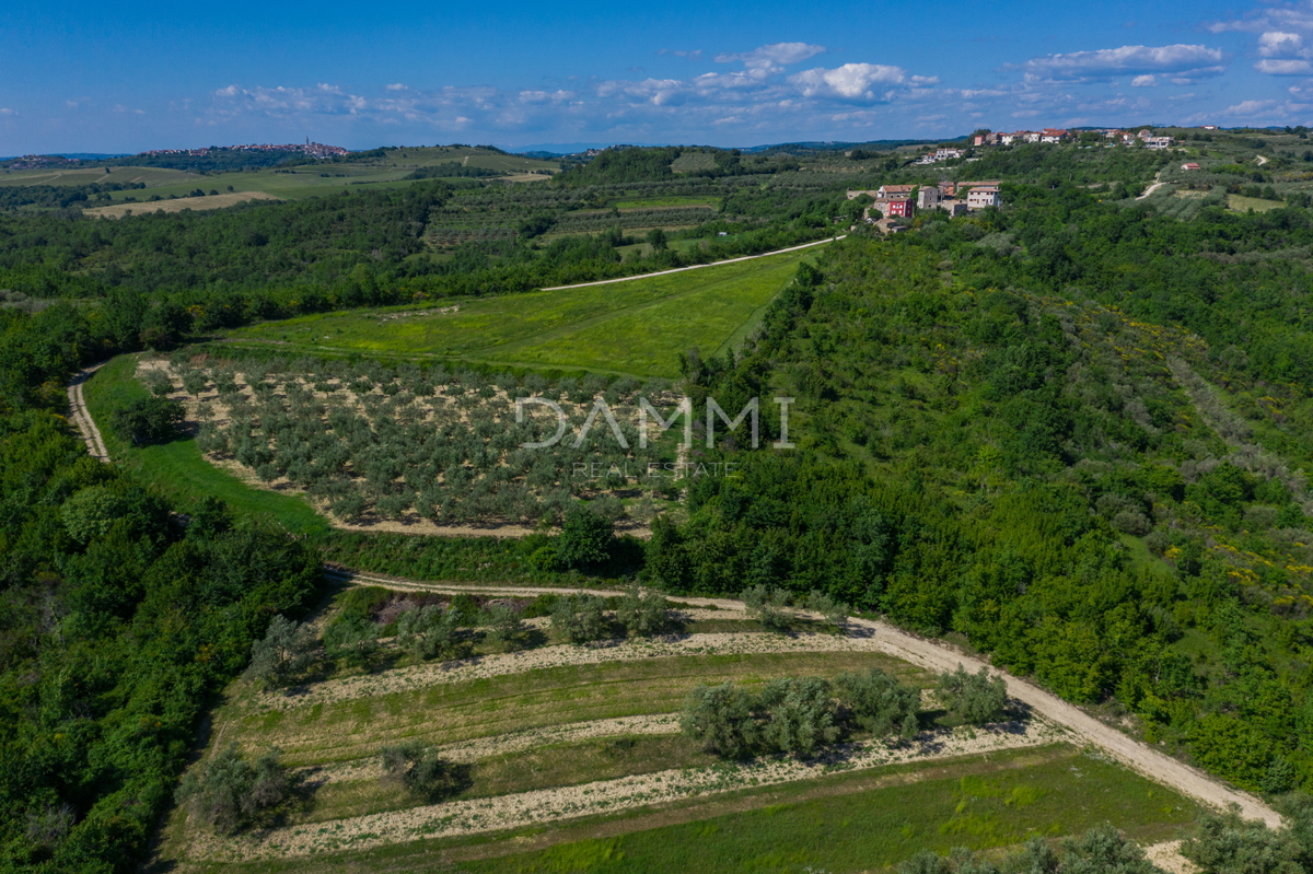 ISTRA, BUJE - Čudovita vila s pogledom na morje in naravo