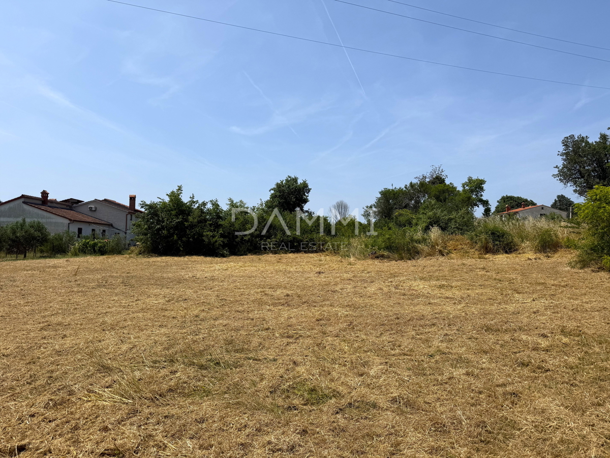 ISTRA, LOBORIKA - Popolno gradbeno zemljišče 910 m2