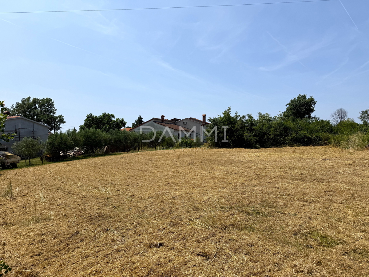 ISTRA, LOBORIKA - Popolno gradbeno zemljišče 910 m2