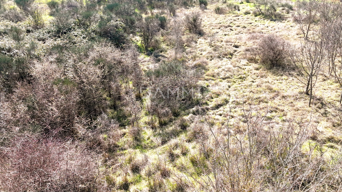 Istra, Marčana - gradbeno zemljišče v industrijski coni