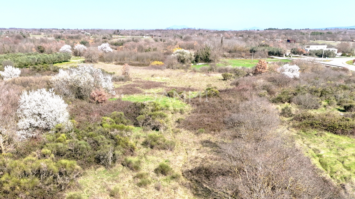Istra, Marčana - gradbeno zemljišče v industrijski coni