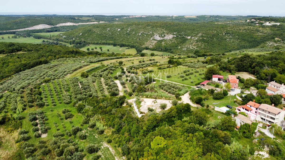 BUJE, KRASICA - Gradbeno zemljišče 490m2 z lepim razgledom