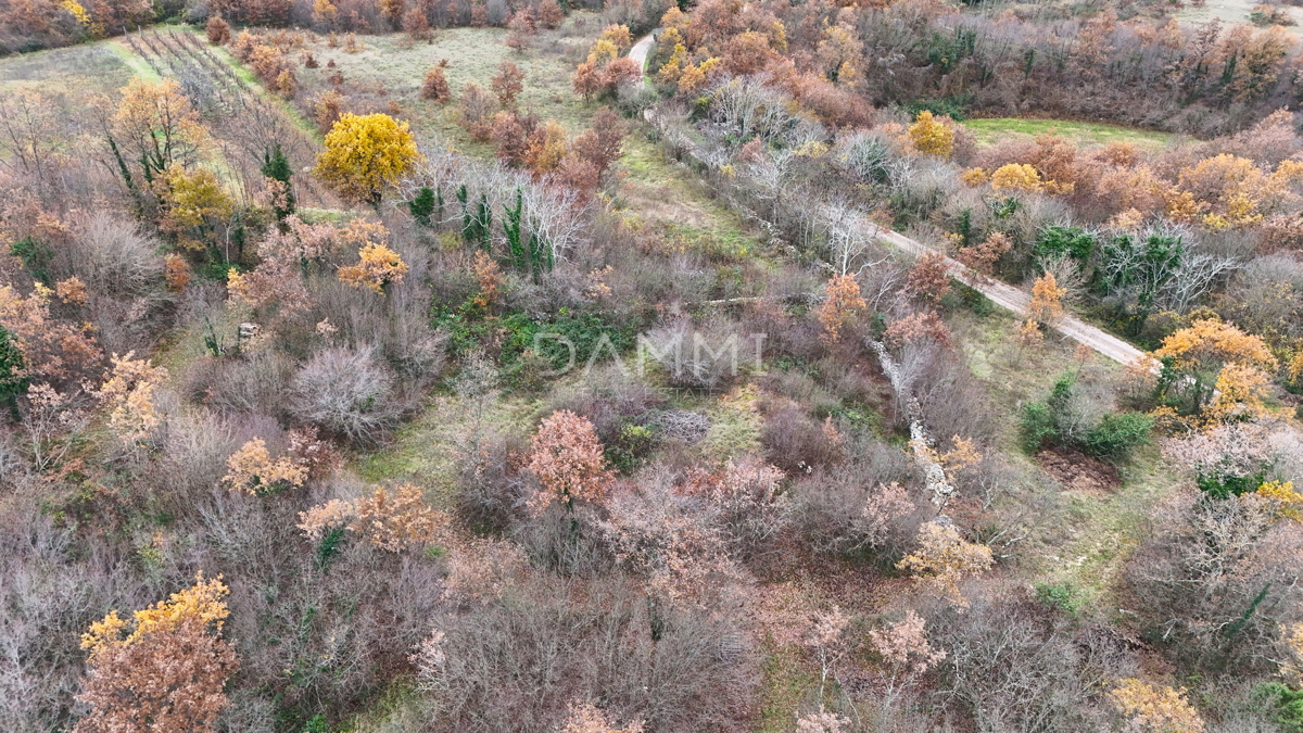 ISTRA, SVETVINČENAT - Zemljišče blizu urbanizacije do dostopne ceste 725 m2