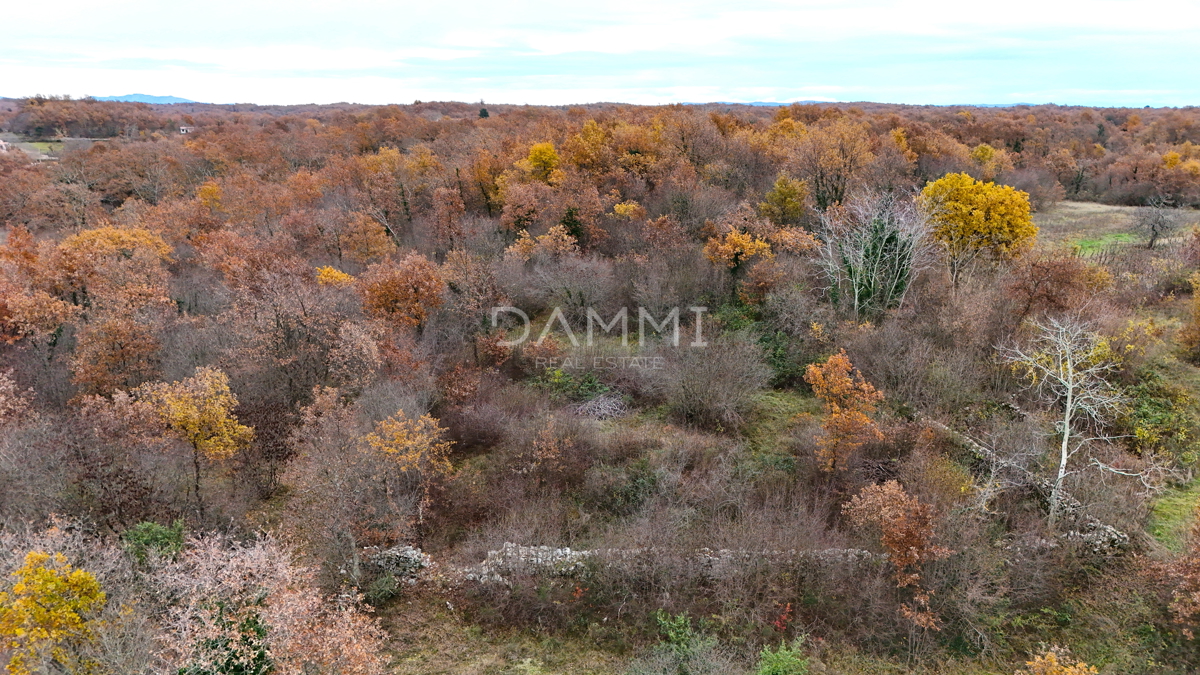 ISTRA, SVETVINČENAT - Zemljišče blizu urbanizacije do dostopne ceste 725 m2