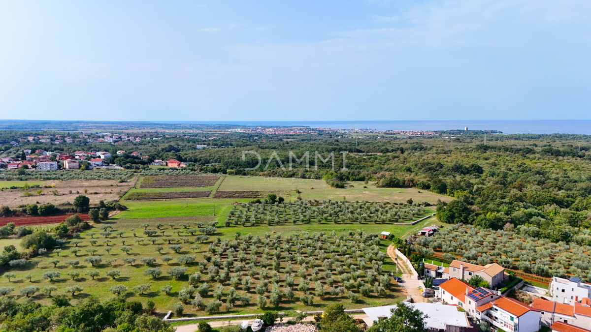 ISTRA, UMAG - Gradbeno zemljišče 3 km od morja