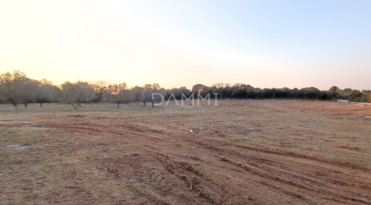 Istra, Štinjan - atraktivno gradbeno zemljišče, pogled na morje