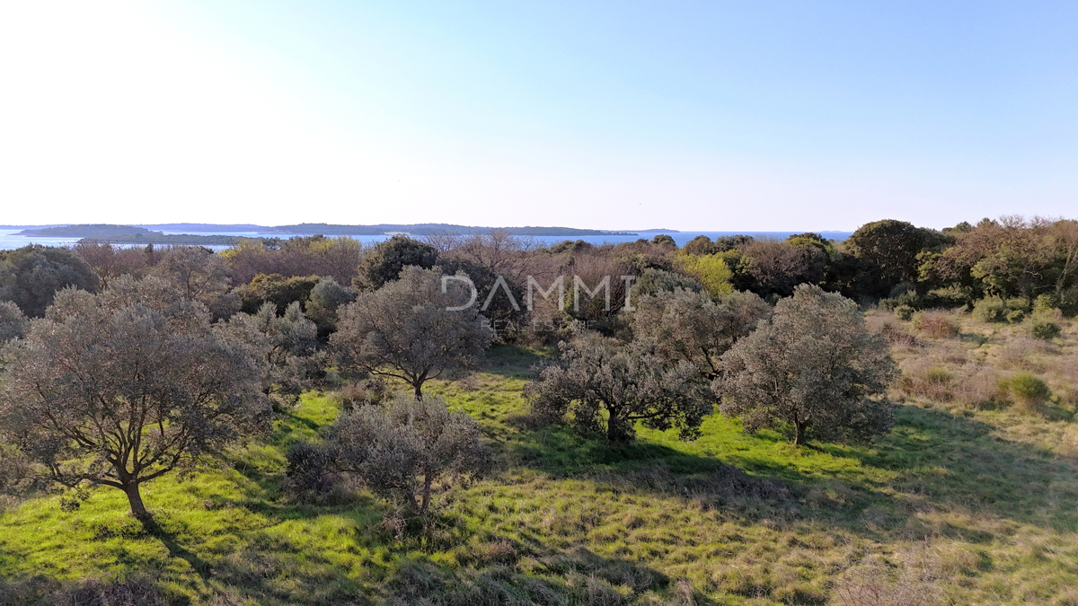 Istra, Štinjan - atraktivno gradbeno zemljišče, pogled na morje