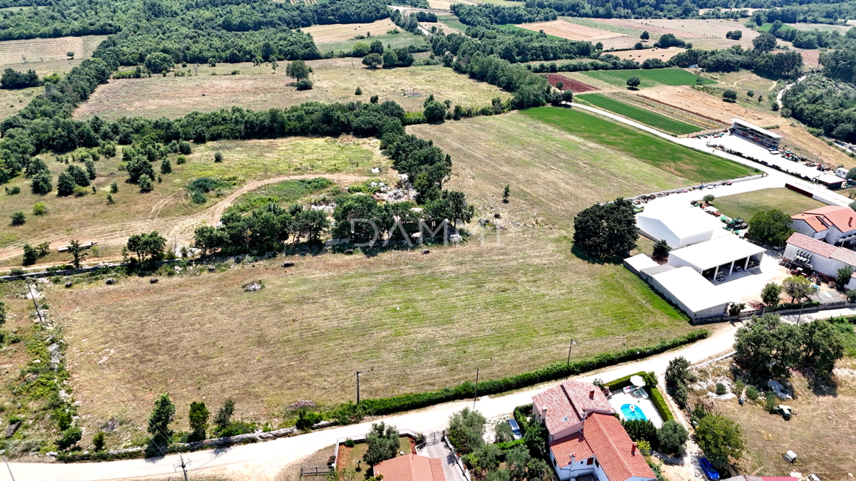 ISTRA, SVETI LOVREČ - Zazidljivo zemljišče za investitorje