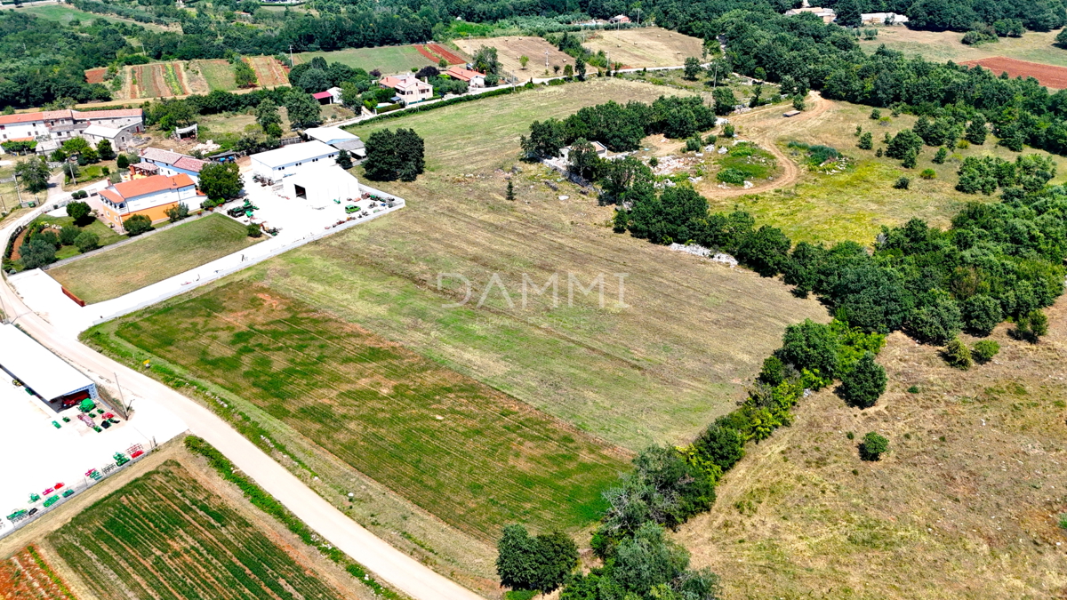 ISTRA, SVETI LOVREČ - Zazidljivo zemljišče za investitorje