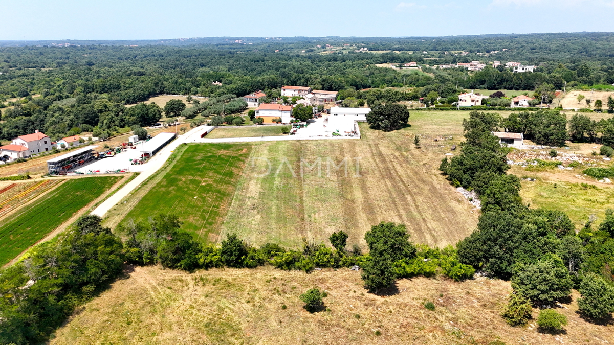 ISTRA, SVETI LOVREČ - Zazidljivo zemljišče za investitorje