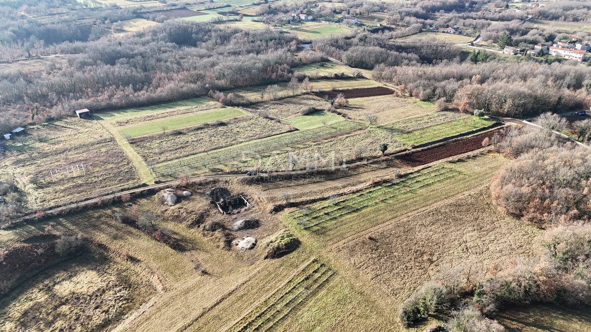ISTRA, ŽMINJ - Izdvojeno gradbeno zemljišče 1255 m2
