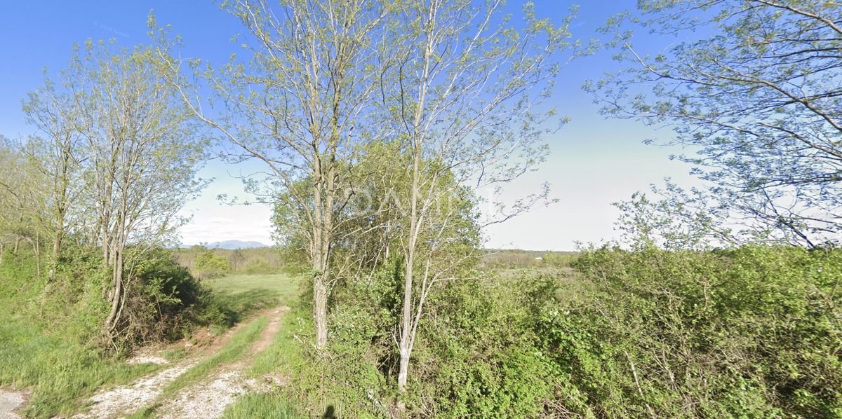 OSREDNJA ISTRA - Veliko kmetijsko zemljišče ob asfaltu