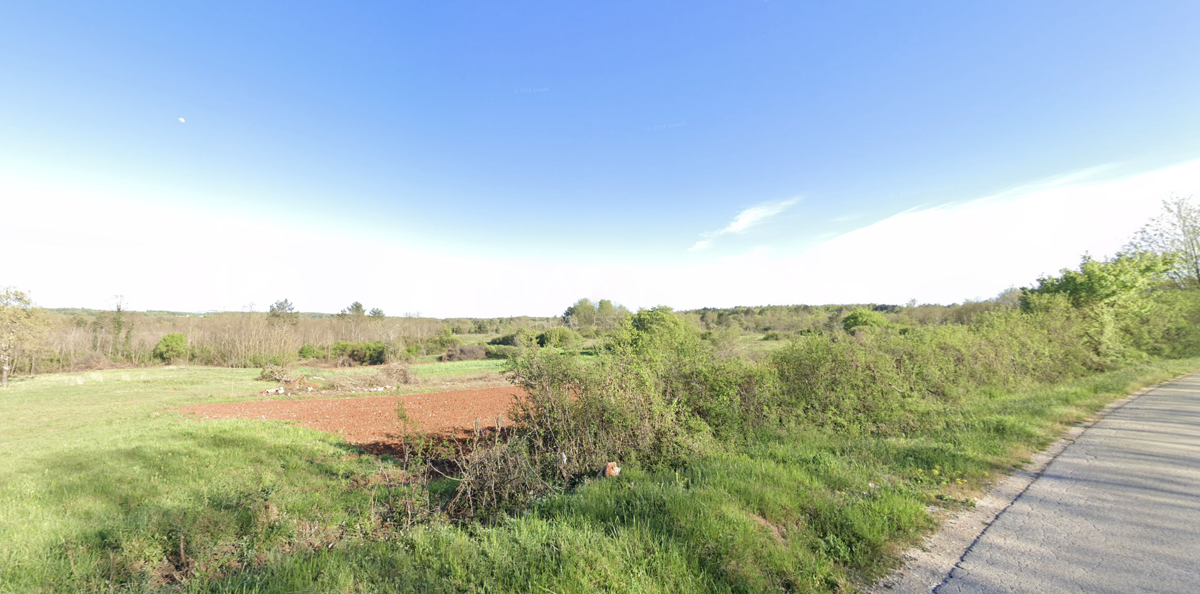 OSREDNJA ISTRA - Veliko kmetijsko zemljišče ob asfaltu