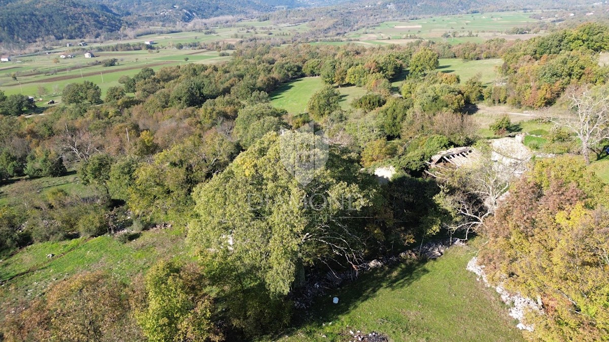 Hiša Boljun, Lupoglav, 327m2