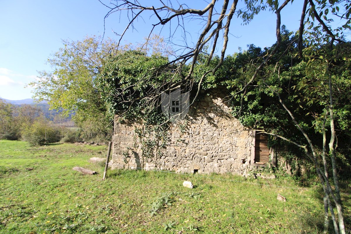 Hiša Boljun, Lupoglav, 327m2