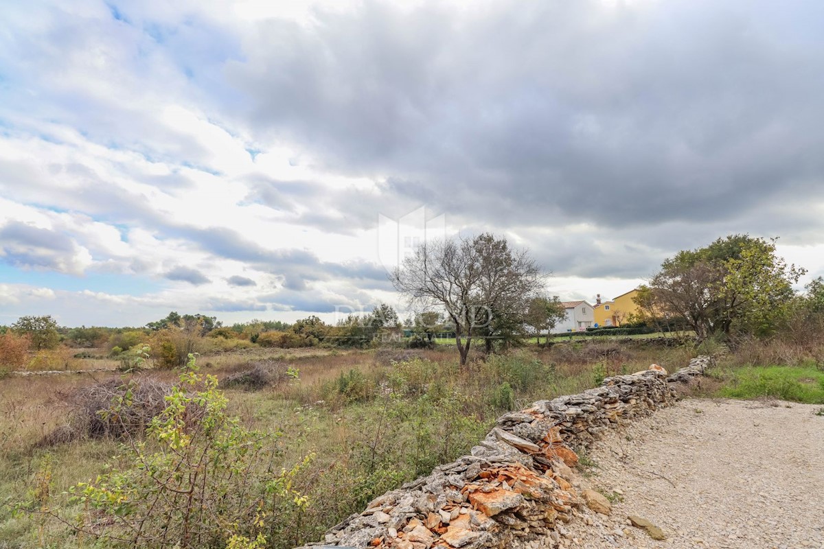 Marčana, okolica, prostorno zemljišče za gradnjo več objektov