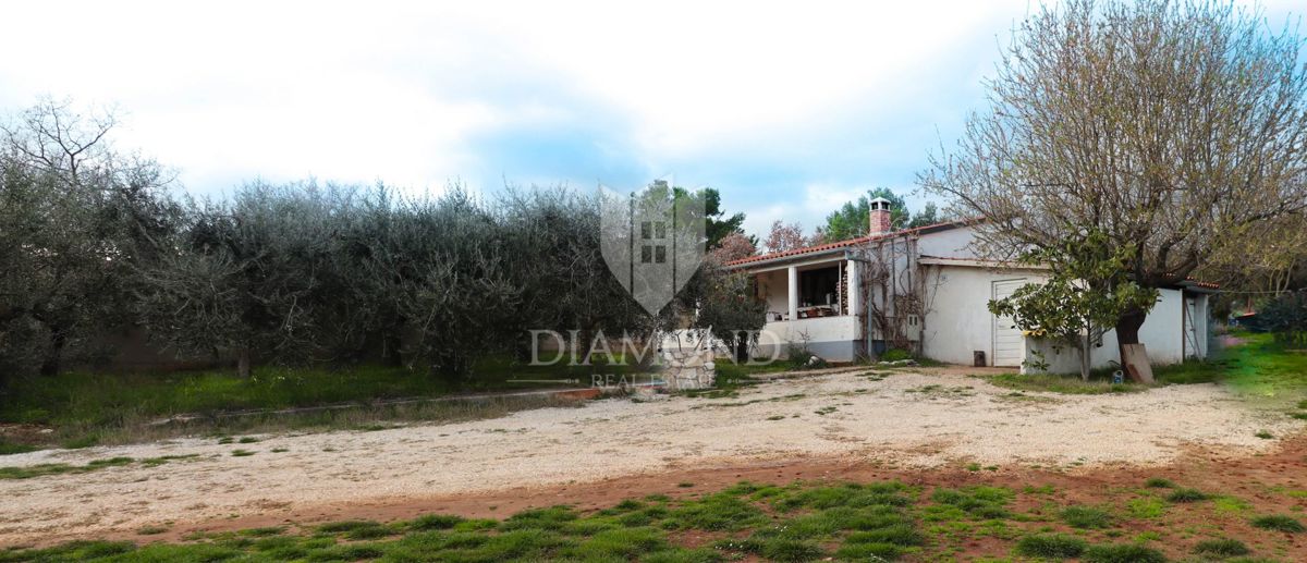 Rovinj, okolica, enonadstropna hiša na prostranem vrtu