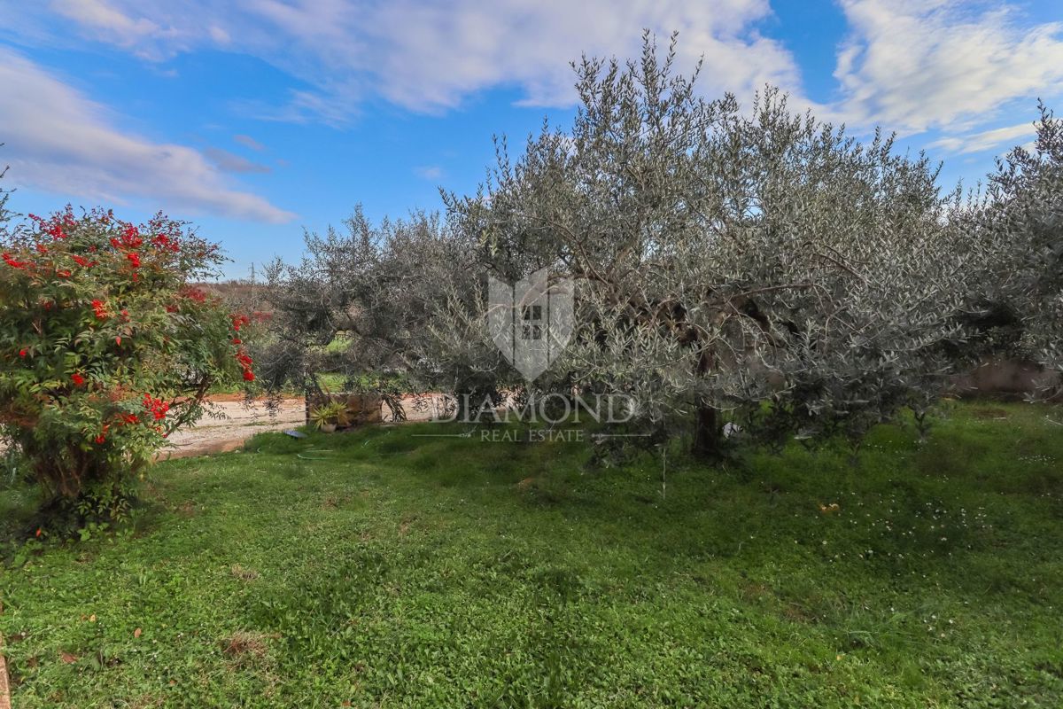 Rovinj, okolica, enonadstropna hiša na prostranem vrtu