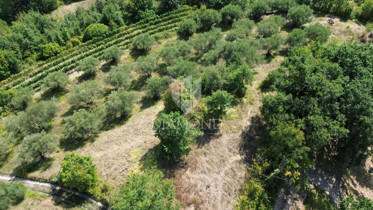 Cerovlje, okolica, zazidljiva parcela z lepim razgledom