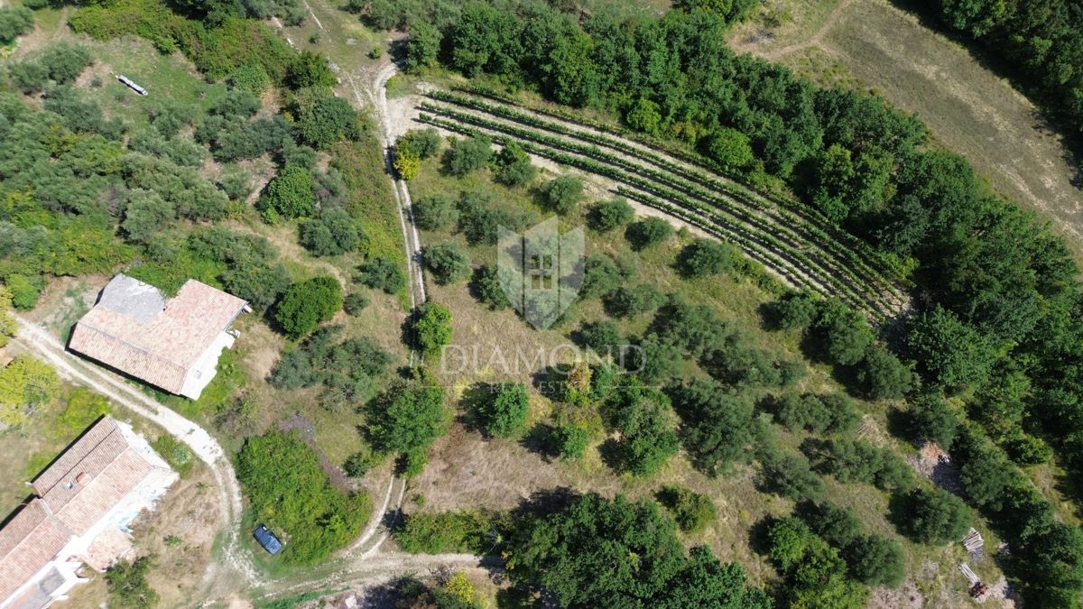 Cerovlje, okolica, zazidljiva parcela z lepim razgledom