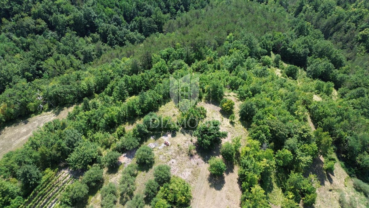 Cerovlje, okolica, zazidljiva parcela z lepim razgledom