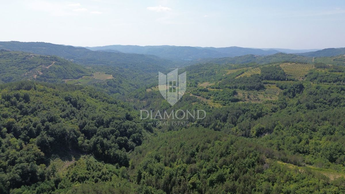 Cerovlje, okolica, zazidljiva parcela z lepim razgledom
